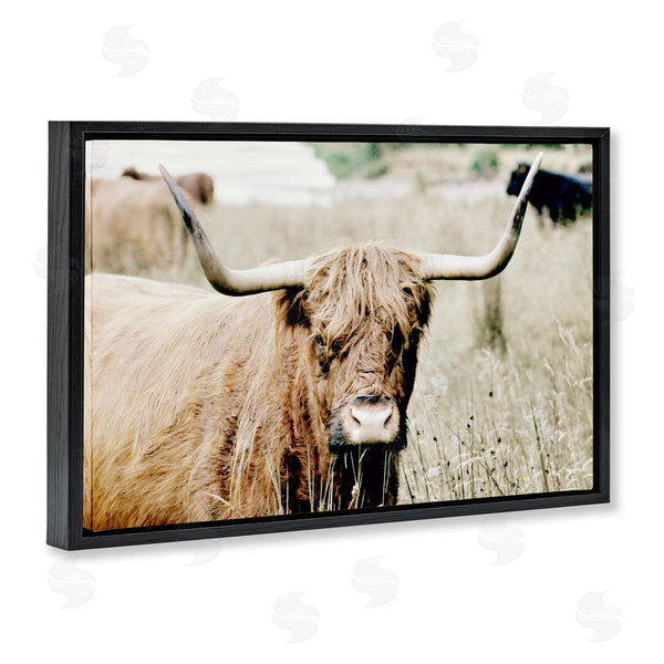 Stupell Industries Sd Graphics Studio | Highland Cattle In Field