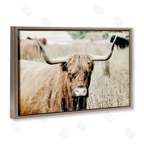 Stupell Industries Sd Graphics Studio | Highland Cattle In Field