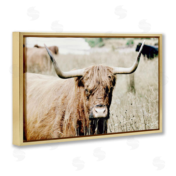 Stupell Industries Sd Graphics Studio | Highland Cattle In Field