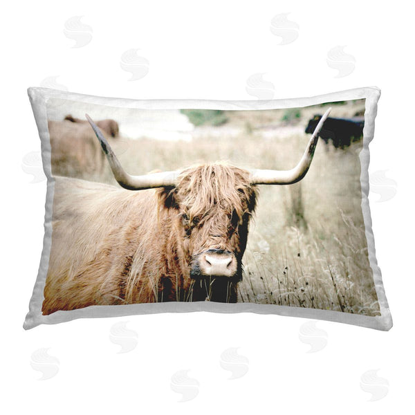 stupell industries SD Graphics Studio | Highland Cattle in Field
