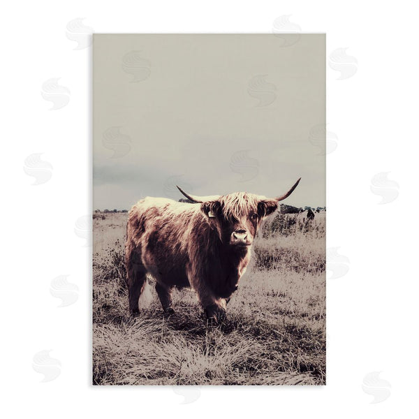stupell industries SD Graphics Studio | Horned Cattle in Pasture Wall Art