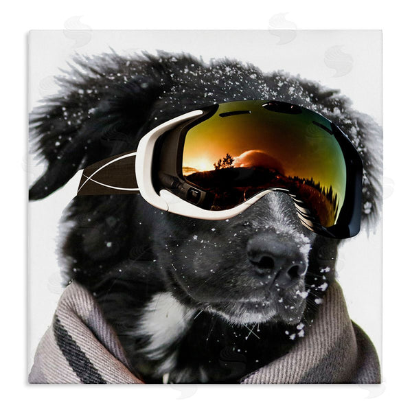 stupell industries Sd Graphics Studio | Snowboarder Dog with Goggles