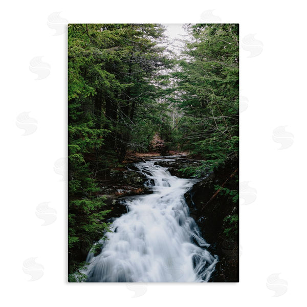 stupell industries Sean Greenough | Endless Cascade Waterfall