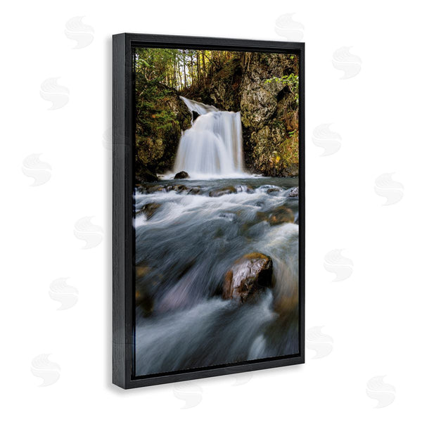 Stupell Industries Sean Greenough | Fresh Fall Water Cascading