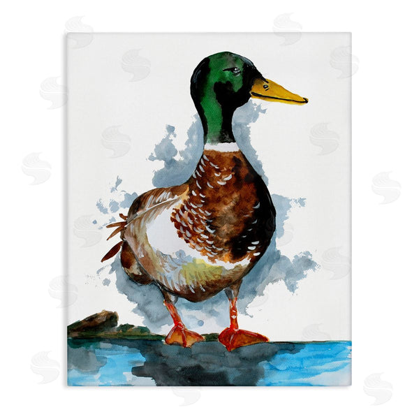 stupell industries Sebastian Grafmann | Mallard Duck Water's Edge Wall Art