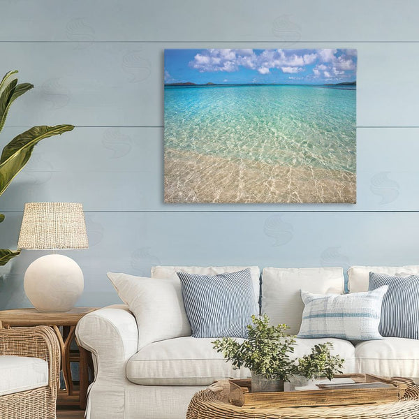 Stupell Industries Seven Trees Design | Clear Caribbean Beach Waters Wall Art