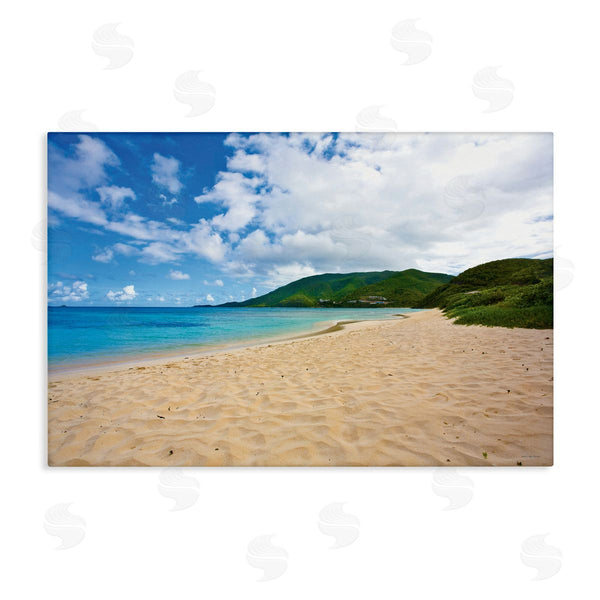 stupell industries Seven Trees Design | Coastal Caribbean Beach Wall Art