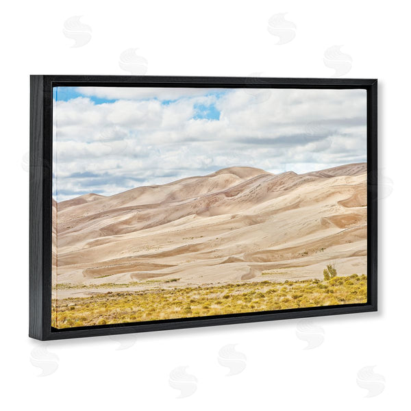 Stupell Industries Seven Trees Design | Dunes In The Distance