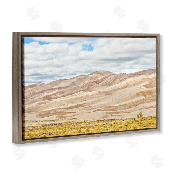 Stupell Industries Seven Trees Design | Dunes In The Distance