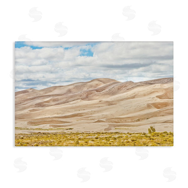 stupell industries Seven Trees Design | Dunes In The Distance