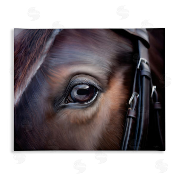 stupell industries Seven Trees Design | Equine Gaze Close Up Wall Art
