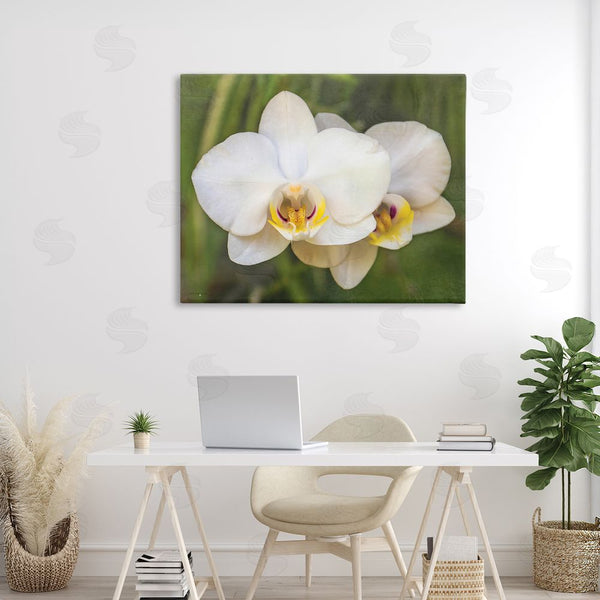Stupell Industries Seven Trees Design | Orchid Blossom Glow Wall Art