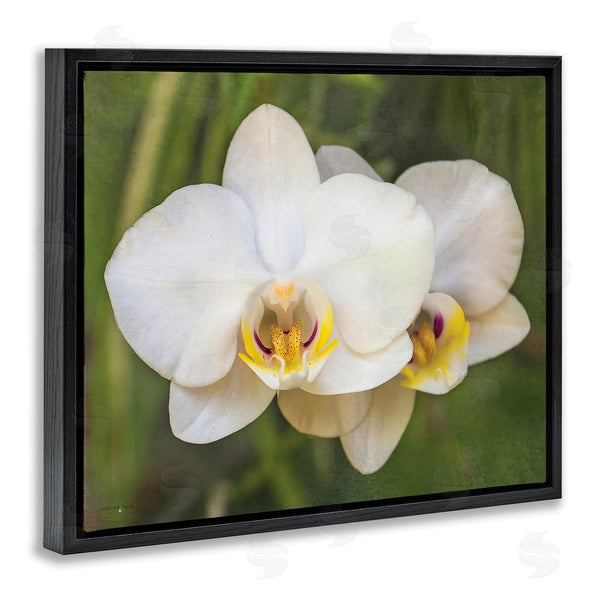 Stupell Industries Seven Trees Design | Orchid Blossom Glow Wall Art