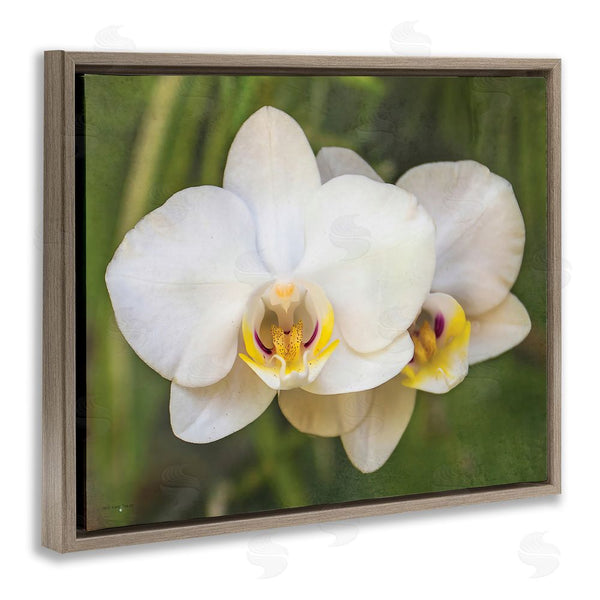 Stupell Industries Seven Trees Design | Orchid Blossom Glow Wall Art
