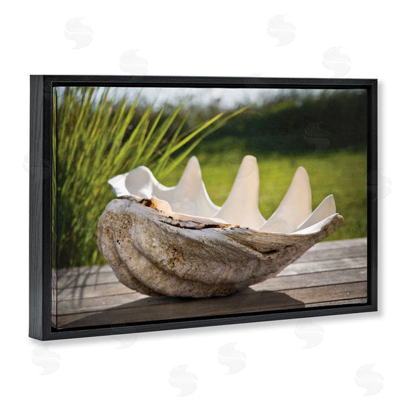 Stupell Industries Seven Trees Design | Sea Treasure Shell Wall Art