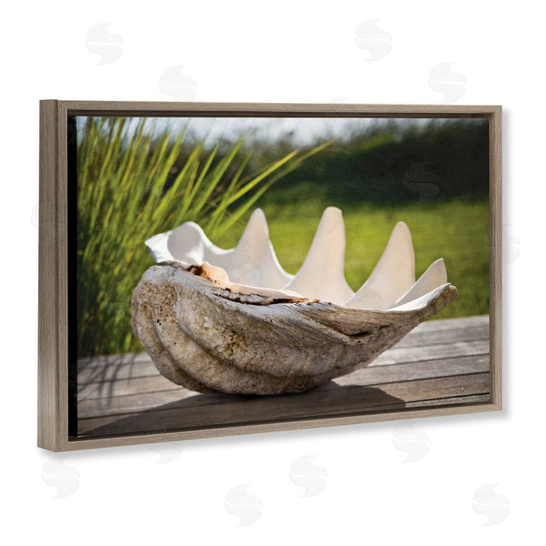Stupell Industries Seven Trees Design | Sea Treasure Shell Wall Art