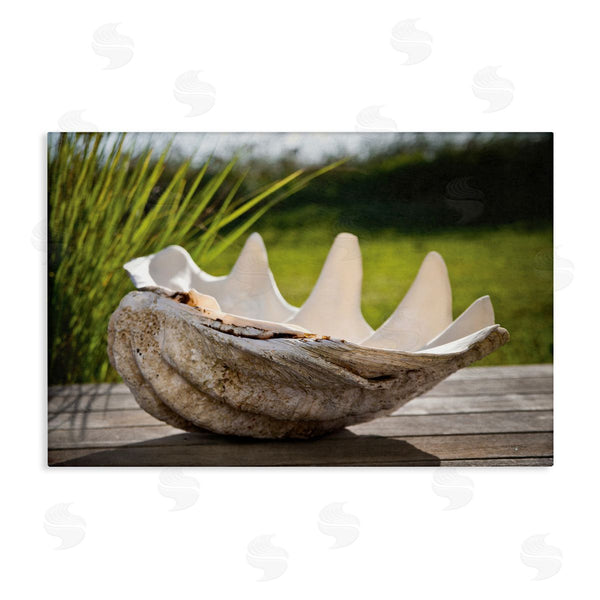 stupell industries Seven Trees Design | Sea Treasure Shell Wall Art