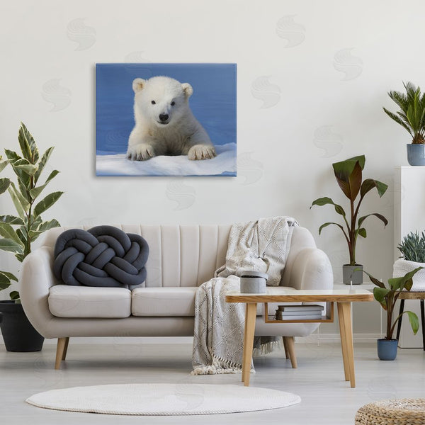 Stupell Industries Shane Lamb | Baby Polar Bear Peeking Wall Art
