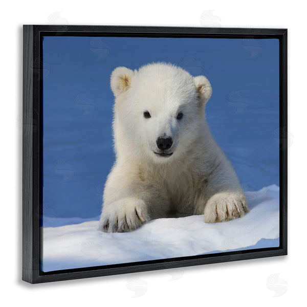 Stupell Industries Shane Lamb | Baby Polar Bear Peeking Wall Art
