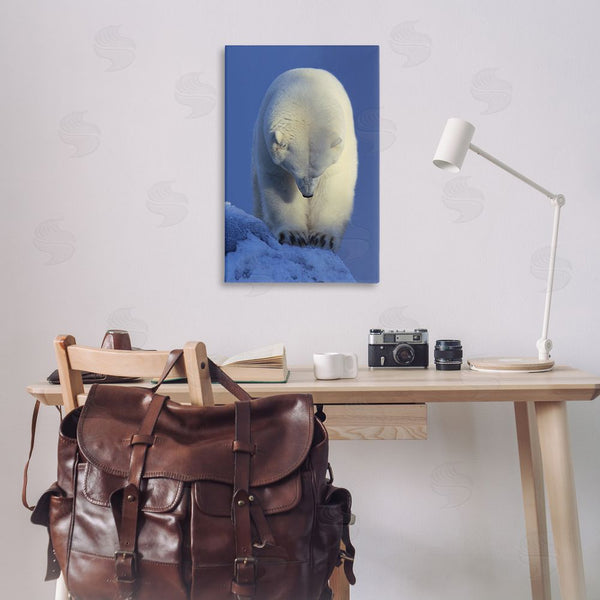 Stupell Industries Shane Lamb | Contemplation Polar Bear Wall Art