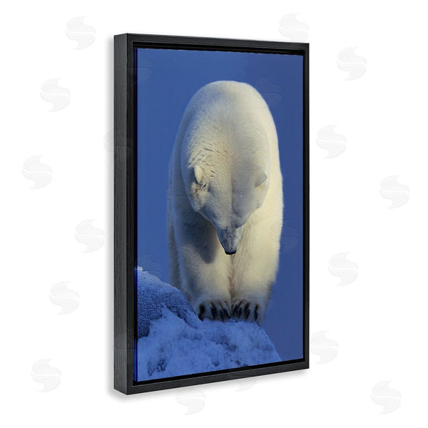 Stupell Industries Shane Lamb | Contemplation Polar Bear Wall Art