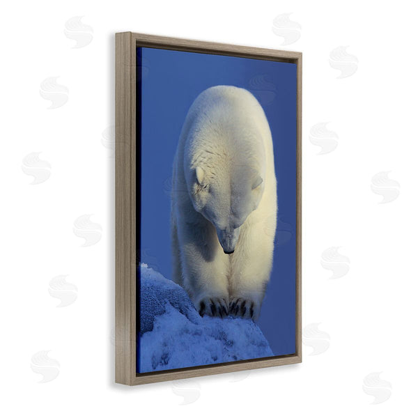 Stupell Industries Shane Lamb | Contemplation Polar Bear Wall Art