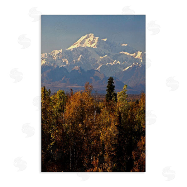 stupell industries Shane Lamb | Danali Autumn Landscape Wall Art