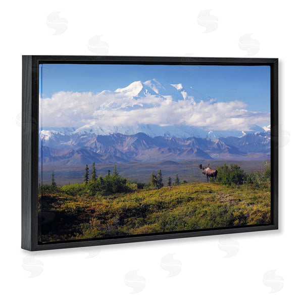 Stupell Industries Shane Lamb | Mountain Majesty Moose Wall Art