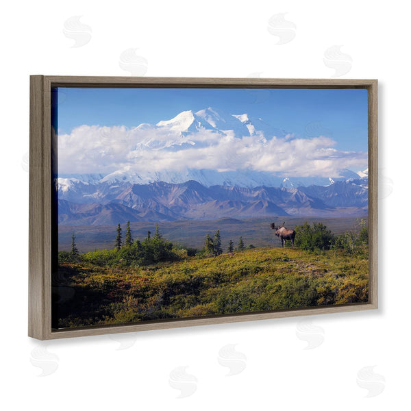 Stupell Industries Shane Lamb | Mountain Majesty Moose Wall Art