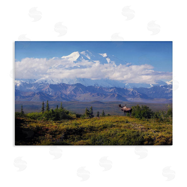 stupell industries Shane Lamb | Mountain Majesty Moose Wall Art