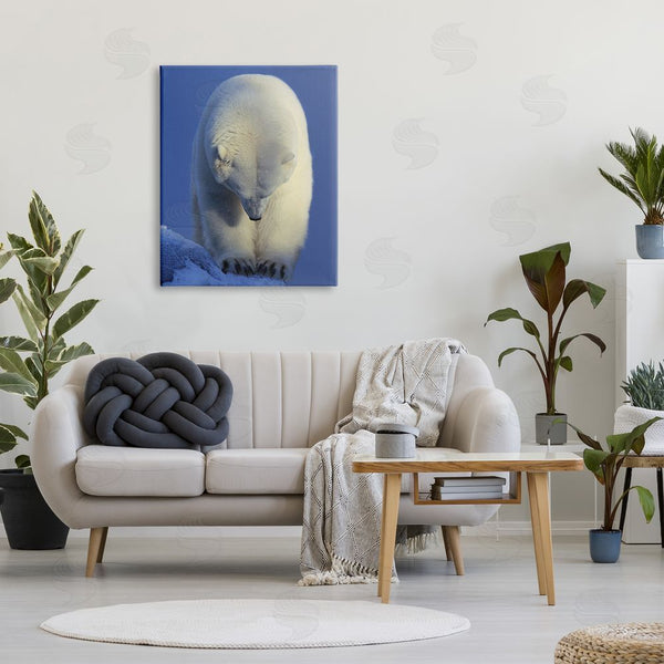 Stupell Industries Shane Lamb | Polar Bear Photography Wall Art