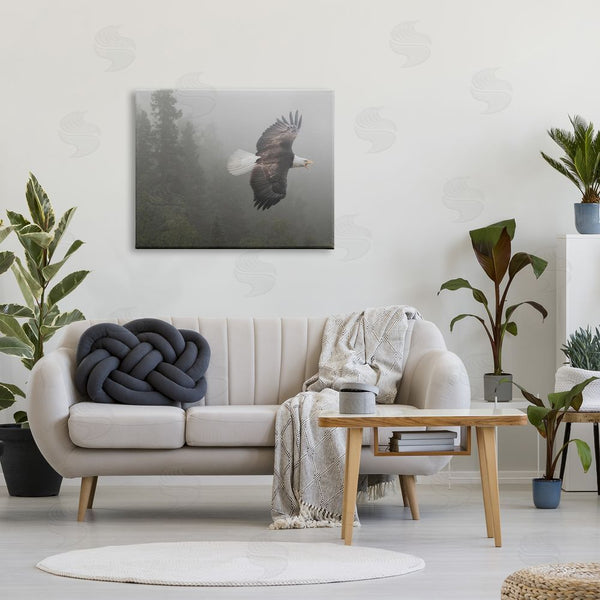 Stupell Industries Shane Lamb | Soaring Eagle In Nature Wall Art