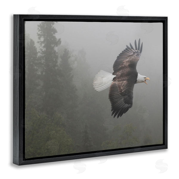 Stupell Industries Shane Lamb | Soaring Eagle In Nature Wall Art