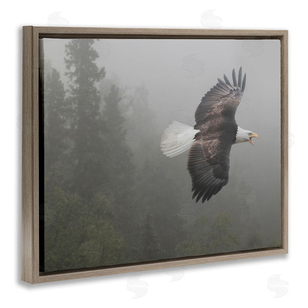 Stupell Industries Shane Lamb | Soaring Eagle In Nature Wall Art