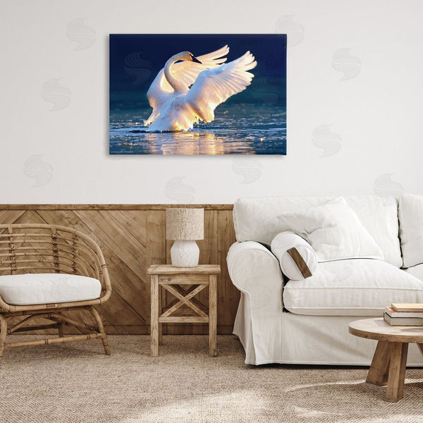Stupell Industries Shane Lamb | Sunset Symphony Swan Wall Art