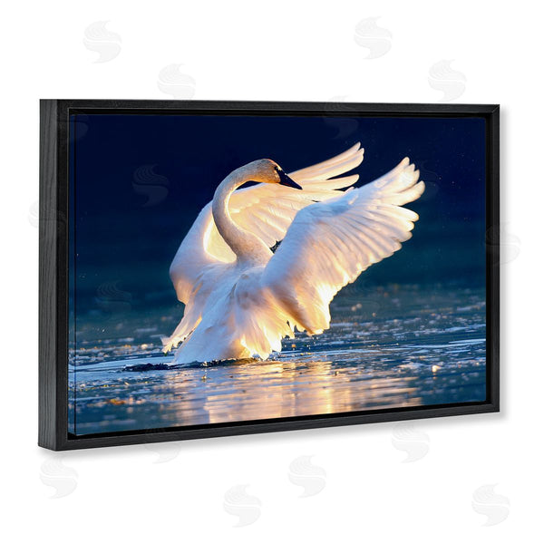Stupell Industries Shane Lamb | Sunset Symphony Swan Wall Art