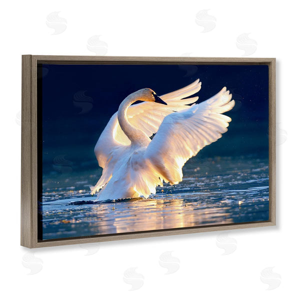 Stupell Industries Shane Lamb | Sunset Symphony Swan Wall Art