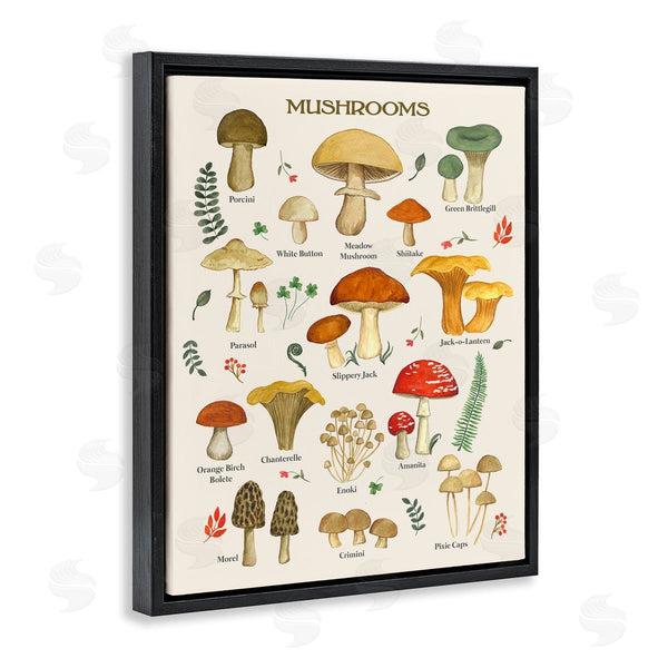 Stupell Industries Sharon Lee | Foraging Mushrooms Studies