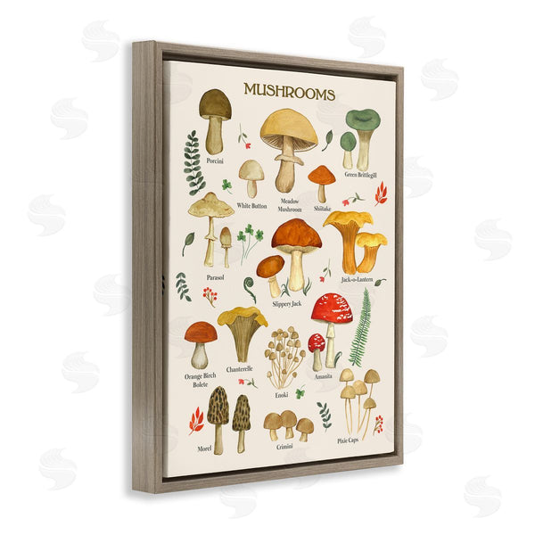 Stupell Industries Sharon Lee | Foraging Mushrooms Studies