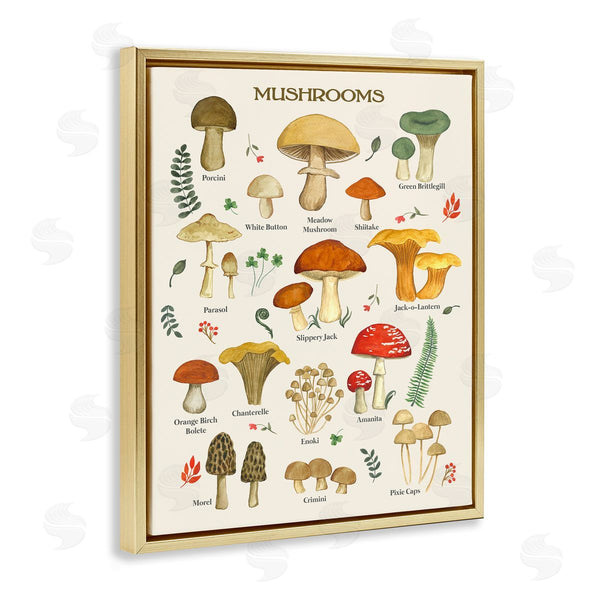 Stupell Industries Sharon Lee | Foraging Mushrooms Studies
