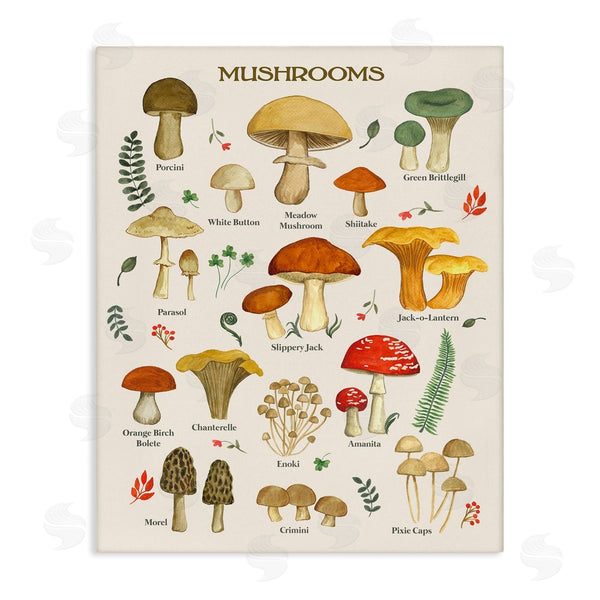 stupell industries Sharon Lee | Foraging Mushrooms Studies