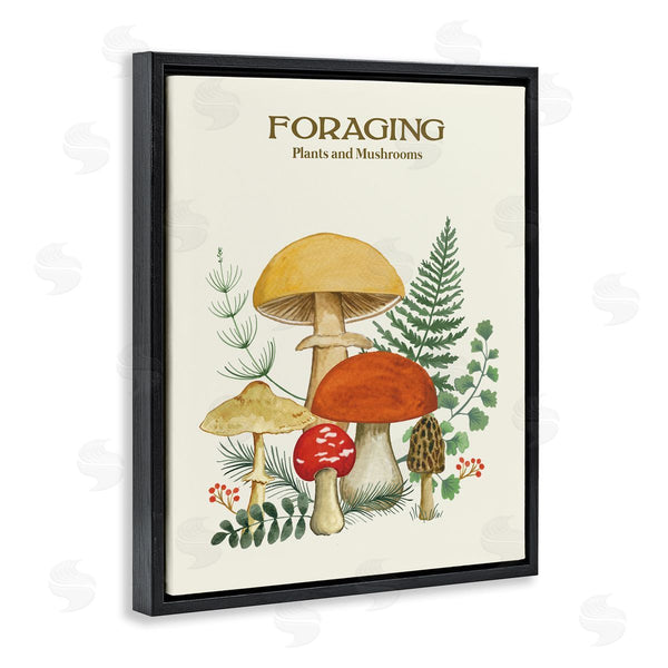 Stupell Industries Sharon Lee | Vintage Foraging Mushrooms