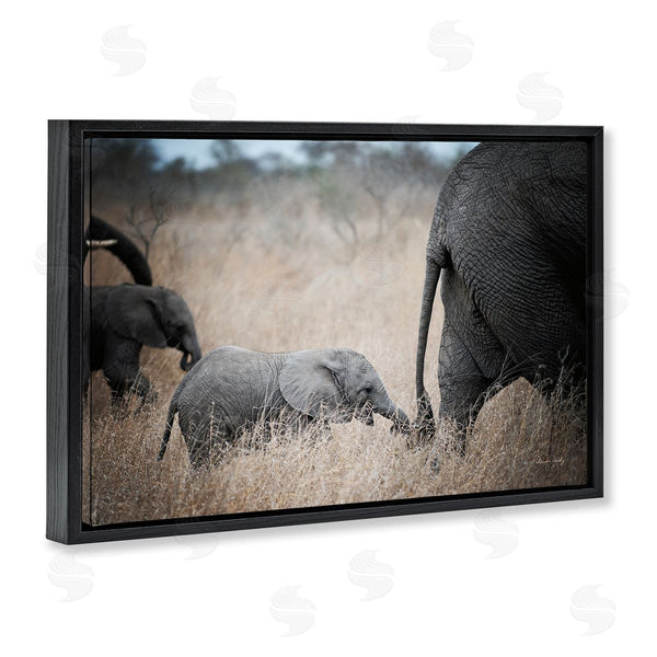 Stupell Industries Sharon Vardy | Baby Elephant Strolling