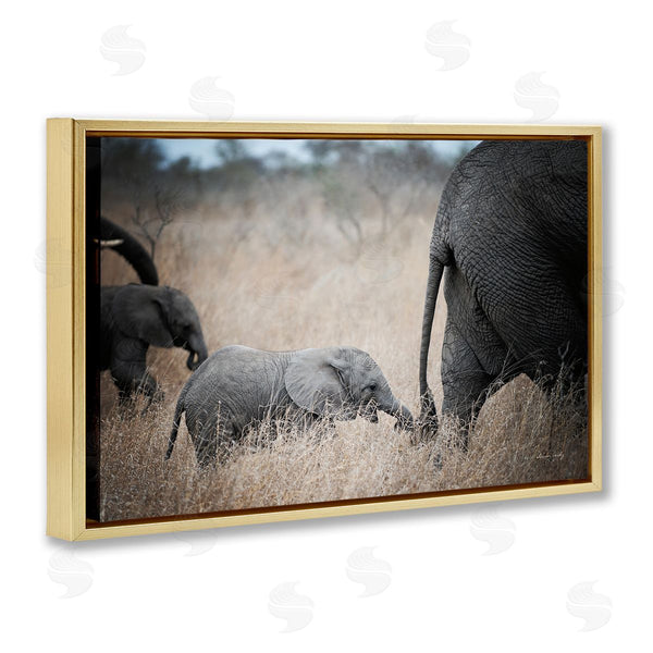 Stupell Industries Sharon Vardy | Baby Elephant Strolling