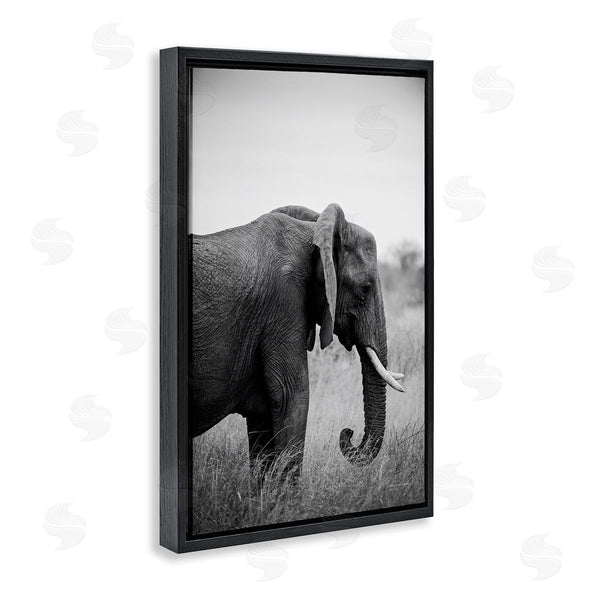 Stupell Industries Sharon Vardy | Side Profile Elephant