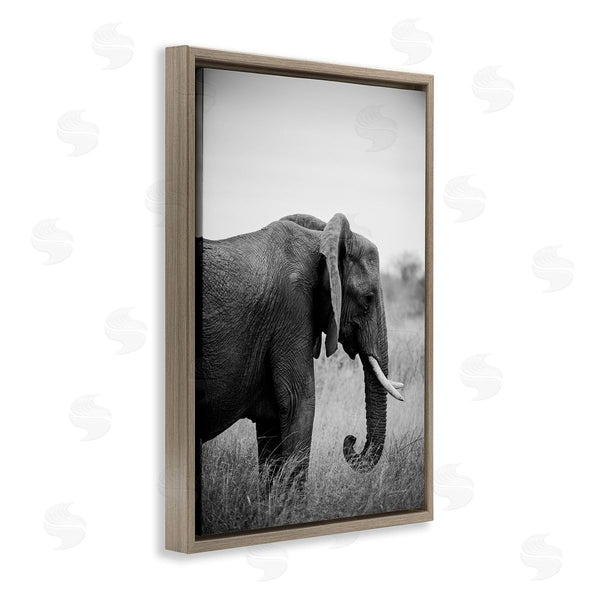 Stupell Industries Sharon Vardy | Side Profile Elephant