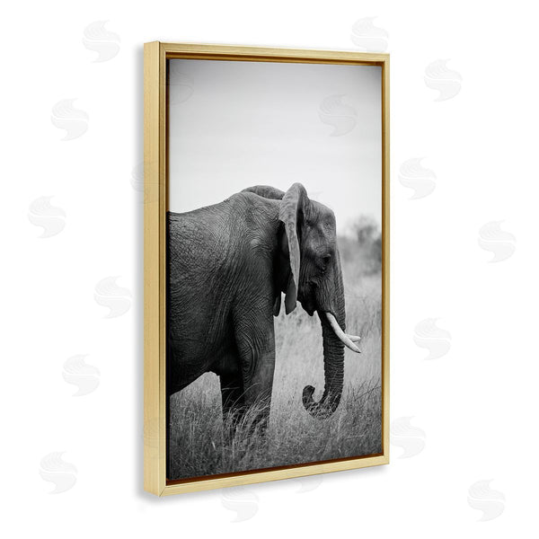 Stupell Industries Sharon Vardy | Side Profile Elephant