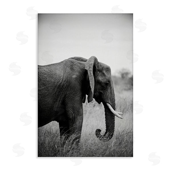 stupell industries Sharon Vardy | Side Profile Elephant