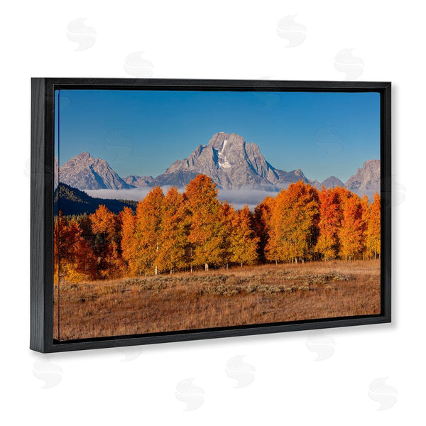 Stupell Industries Shelley Carlisle | Autumn Tree Line With Mountain Wall Art