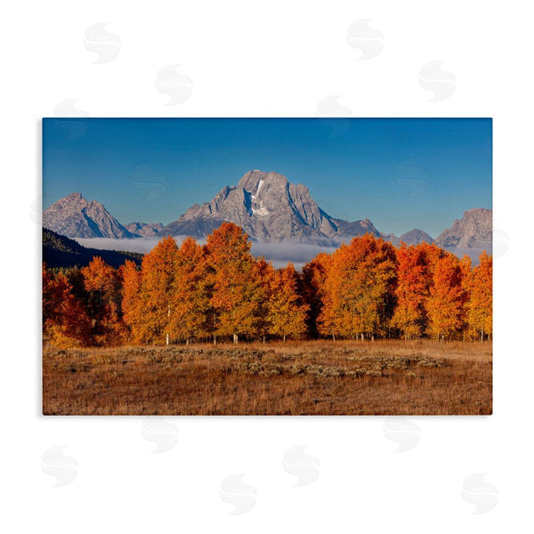 stupell industries Shelley Carlisle | Autumn Tree Line With Mountain Wall Art